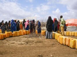 L’adaptation climatique en Afrique