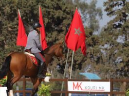 بطولة-المغرب-للترويض-