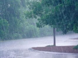 pluies