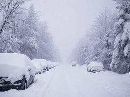 موجة برد بالقصرين