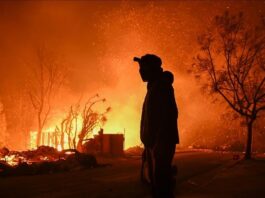 incendies à Hollywood