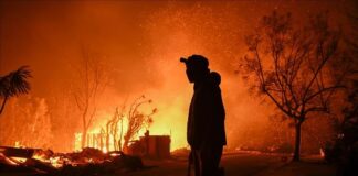 incendies à Hollywood