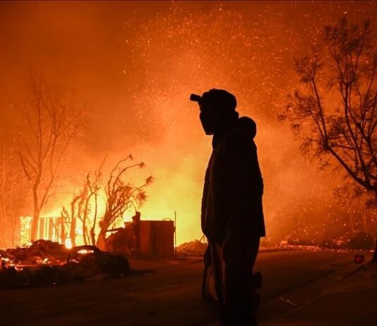 incendies à Hollywood