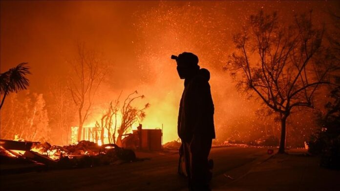 incendies à Hollywood