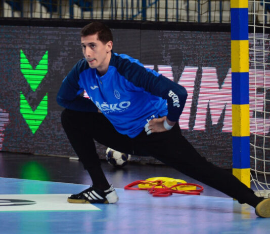 Handball : La Tunisie battue par le Danemark au Mondial