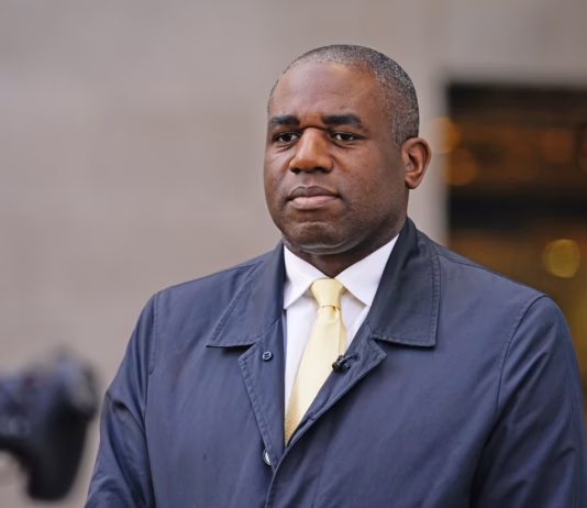 David Lammy