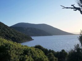Le Parc national de l’Ichkeul