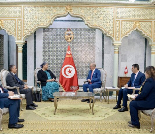 تونس تجدّد دعمها لبعثة الأمم المتحدة في ليبيا وتؤكد التزامها بالحل السياسي