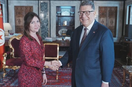 Le Conseil de l'Europe réaffirme son engagement à renforcer la coopération avec la Tunisie dans divers domaines