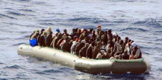 وصول 344 مهاجرًا إلى لامبيدوزا وسط تكثيف عمليات الإنقاذ