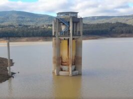 تحسّن نسبي في نسبة امتلاء السدود بتونس بعد تساقطات الأمطار