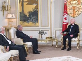 قيس سعيد يدعو إلى إعادة بناء النظام العربي في ظل التحولات العالمية