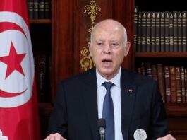 قيس سعيد: لم نوقّع أي اتفاق لترحيل التونسيين من أوروبا