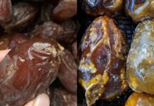 نابل: حجز 61 طنًا من تمور فاسدة داخل مستودع عشوائي بسليمان