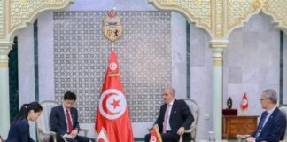 تونس واليابان: تعزيز التعاون الثنائي في مختلف المجالات