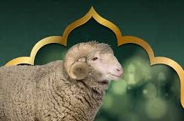 فلكيًا: عيد الأضحى 2025 قد يصادف يوم 6 جوان