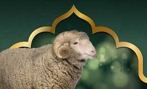فلكيًا: عيد الأضحى 2025 قد يصادف يوم 6 جوان
