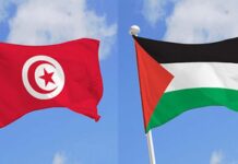 تونس تدين عدوان الاحتلال وتجدد دعوتها لحماية الفلسطينيين من الإبادة