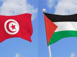 تونس تدين عدوان الاحتلال وتجدد دعوتها لحماية الفلسطينيين من الإبادة