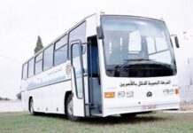 10 حافلات جديدة لتعزيز النقل بين العاصمة والقصرين وسيدي بوزيد وقفصة بمناسبة العيد