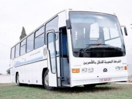 10 حافلات جديدة لتعزيز النقل بين العاصمة والقصرين وسيدي بوزيد وقفصة بمناسبة العيد