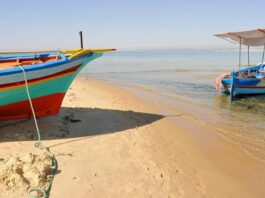 توقعات طقس السبت والأحد 21 و22 جوان 2025: حرارة مرتفعة وأمطار متفرقة