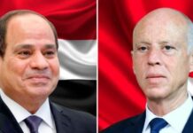 الرئيس قيس سعيّد ونظيره المصري يتبادلان التهاني بمناسبة عيد الأضحى