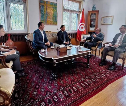 سفير تونس في بكين يبحث تعزيز التعاون مع شركة PowerChina في مجال الطاقة