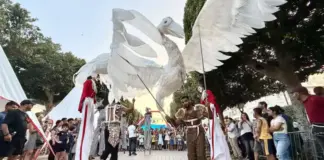 مهرجان السيرك وفنون الشارع الدولي سحر العروض يملأ شارع الحبيب بورقيبة