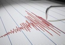 هزة أرضية بقوة 3.2 درجات تضرب خليج الحمامات