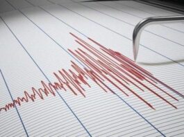 هزة أرضية بقوة 3.2 درجات تضرب خليج الحمامات