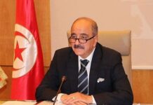وزير الخارجية التونسي يؤدي زيارات عمل إلى فنلندا والدنمارك والنرويج