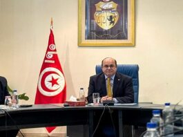 وزير السياحة يدعو لتقديم أسعار تفاضلية للتونسيين وتعزيز السياحة الداخلية