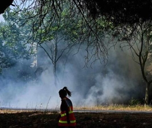 إغلاق مطار مرسيليا بسبب حريق غابات جنوب فرنسا