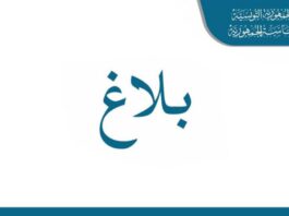 قيس سعيّد يمنح عفوًا رئاسيًا لـ745 سجينًا بمناسبة عيد الجمهورية