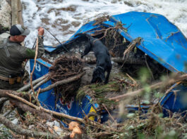 أكثر من 67 قتيلًا في فيضانات مفاجئة تضرب وسط تكساس