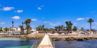 جربة تسجّل 90% إشغال فنادق واستئناف رحلات من الجزائر