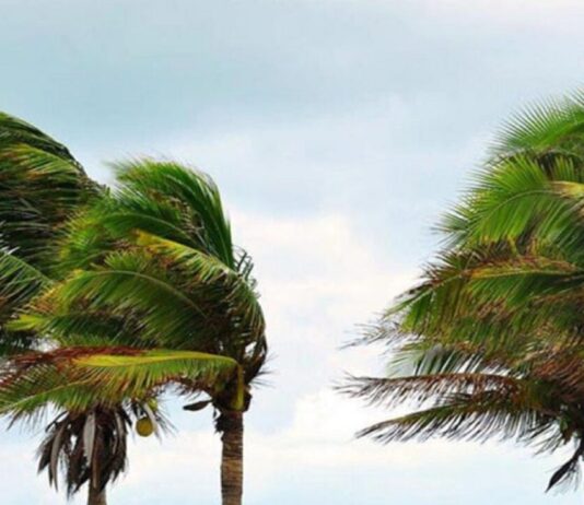 يقظة جوية بسبب رياح قوية في عدة مناطق تونسية