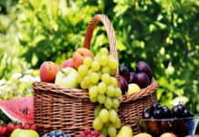 صادرات الغلال التونسية تتخطى 96 مليون دينار حتى منتصف أوت