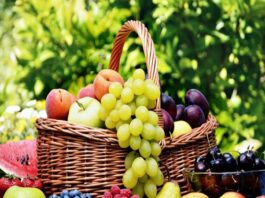 صادرات الغلال التونسية تتخطى 96 مليون دينار حتى منتصف أوت