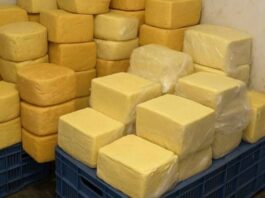 جندوبة: مصادرة وتدمير جبن وزبدة بسبب سوء التخزين