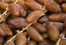 ألمانيا تتصدر واردات التمور البيولوجية التونسية