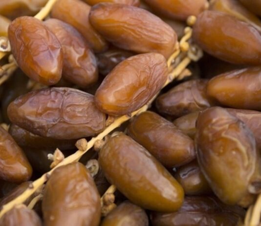 ألمانيا تتصدر واردات التمور البيولوجية التونسية