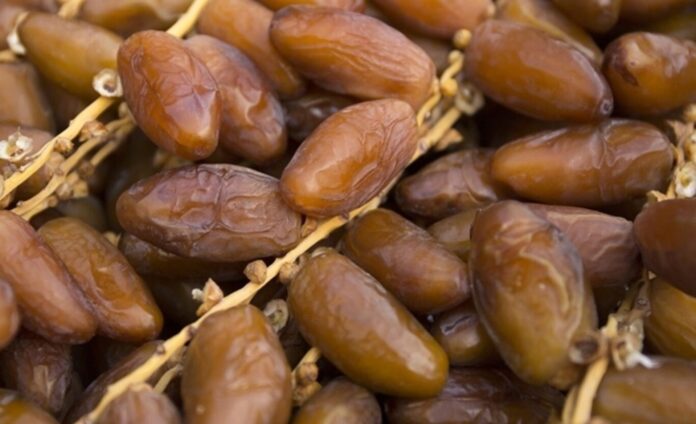 ألمانيا تتصدر واردات التمور البيولوجية التونسية