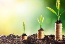  تونس: المصادقة على 1690 استثماراً فلاحياً بقيمة 263.8 مليون دينار في 2025