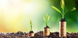 تونس: المصادقة على 1690 استثماراً فلاحياً بقيمة 263.8 مليون دينار في 2025