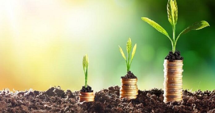  تونس: المصادقة على 1690 استثماراً فلاحياً بقيمة 263.8 مليون دينار في 2025