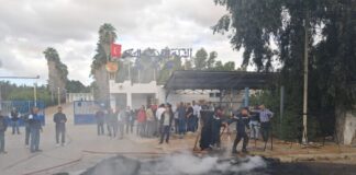 احتجاجات عمال السكر بباجة 7 أكتوبر 2025: مطالب بإنقاذ الشركة