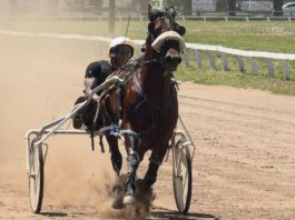 تشارلز أوليفيرا يفوز ببطولة كبرى في سباق الخيول بعد انتصاره في UFC
