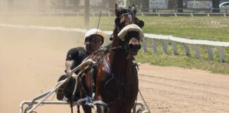 تشارلز أوليفيرا يفوز ببطولة كبرى في سباق الخيول بعد انتصاره في UFC